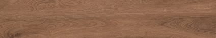 Canarium Brown 