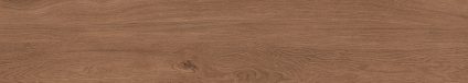 Canarium Brown 