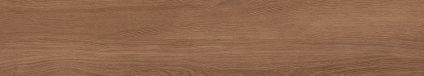 Canarium Brown 