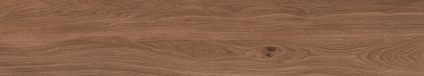 Canarium Brown 