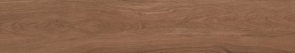 Canarium Brown 