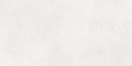 Evolution Blanco