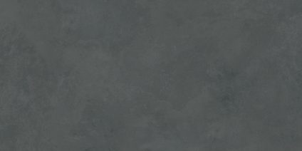Evolution gris