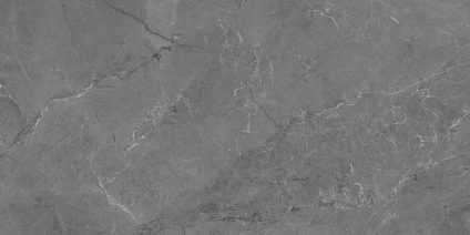 Pluto gris 