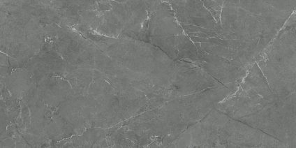 Pluto gris 