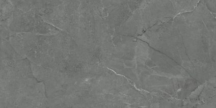 Pluto gris 