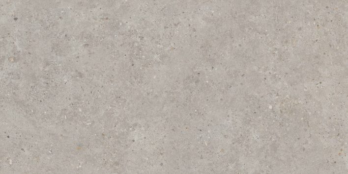 Риккарди серый светлый (SG519920R) рект. 600х1195х9