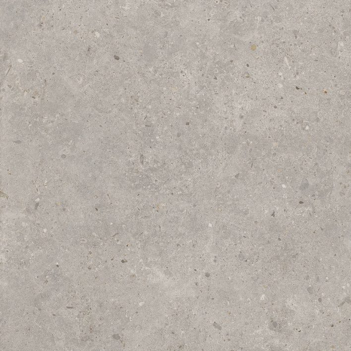 Риккарди серый светлый (SG653720R) рект.