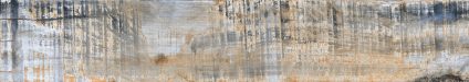 Afromontane