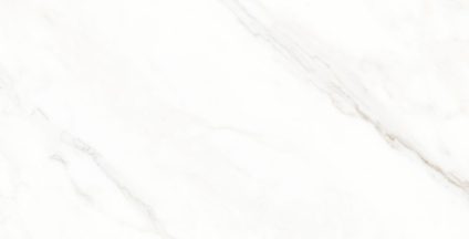 Calacatta Michael 600х1200