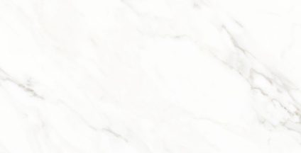 Calacatta Michael 600х1200