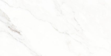 Calacatta Michael 600х1200