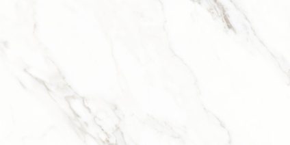 Calacatta Michael 600х1200