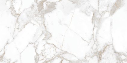 Calacatta Elite