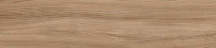 Dune Beige 