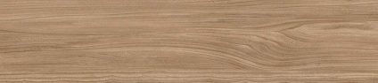 Dune Beige 