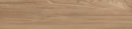 Dune Beige 