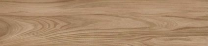 Dune Beige 