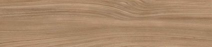Dune Beige 