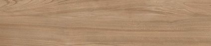 Dune Beige 