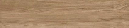 Dune Beige 