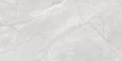 Timeless grigio 600х1200