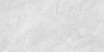 Berna Silver 120x60