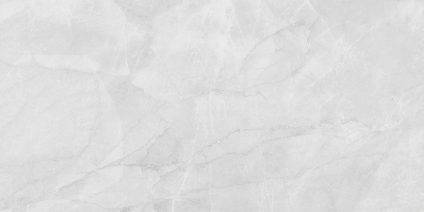 Berna Silver 120x60