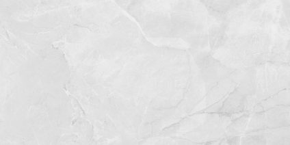 Berna Silver 120x60