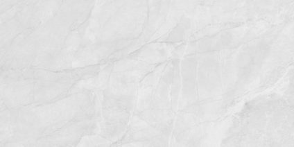 Berna Silver 120x60