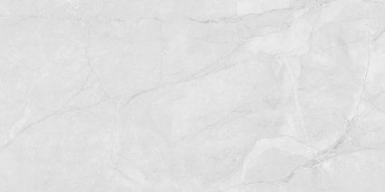 Berna Silver 120x60