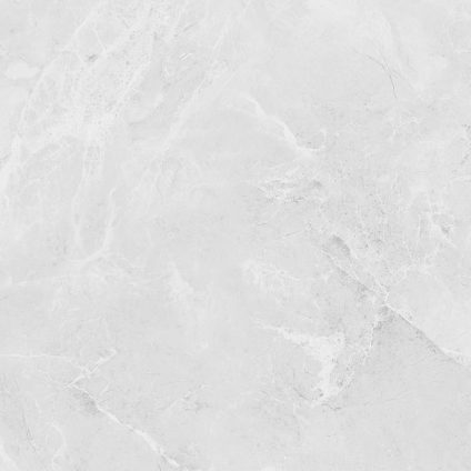 Berna Silver 60x60