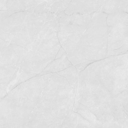 Berna Silver 60x60