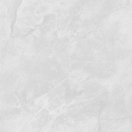 Berna Silver 60x60