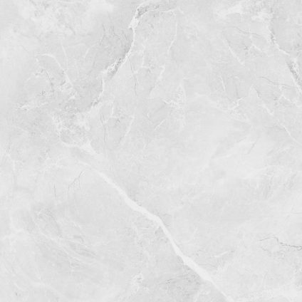 Berna Silver 60x60