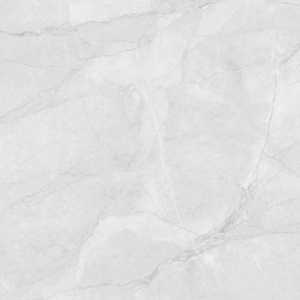 Berna Silver 60x60