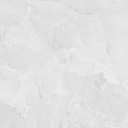 Berna Silver 60x60