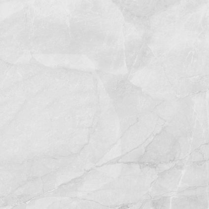 Berna Silver 60x60