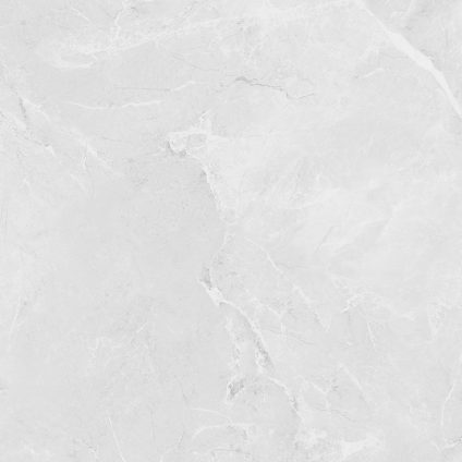 Berna Silver 60x60