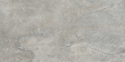 Storm Ash серый 600х1200