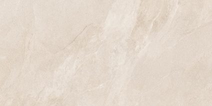 Porter Beige 600х1200
