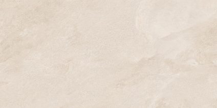 Porter Beige 600х1200