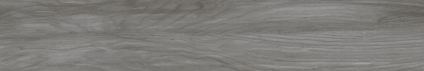 Argos black poplar 