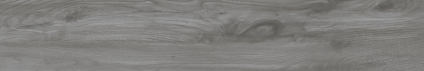 Argos black poplar 