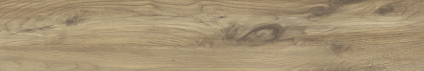 Argos golden pine