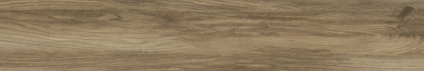Argos golden pine