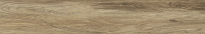 Argos golden pine