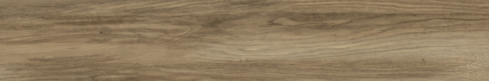 Argos golden pine (GRS13-02S) рект.