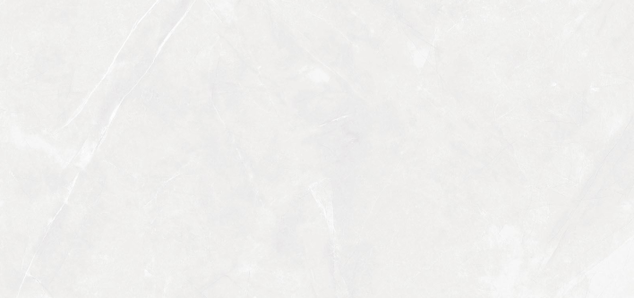 G. Elbert Blanco рект.  600х1200х9