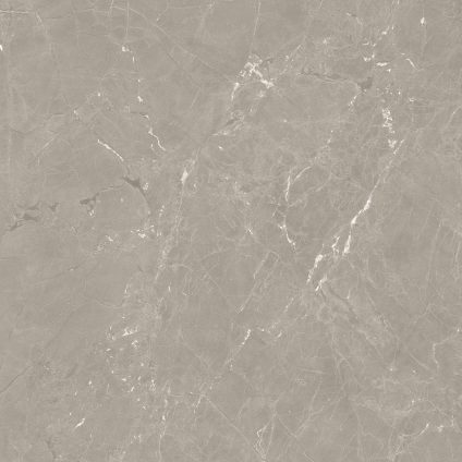 Neeko Taupe RC 60x60